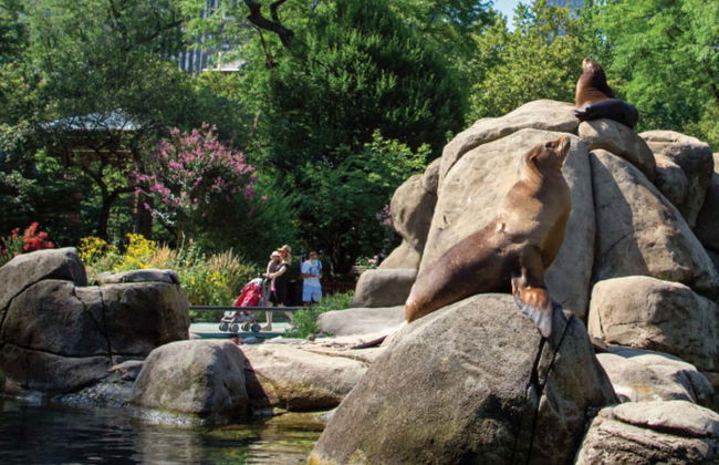 Central Park Zoo Tickets - Foto 1