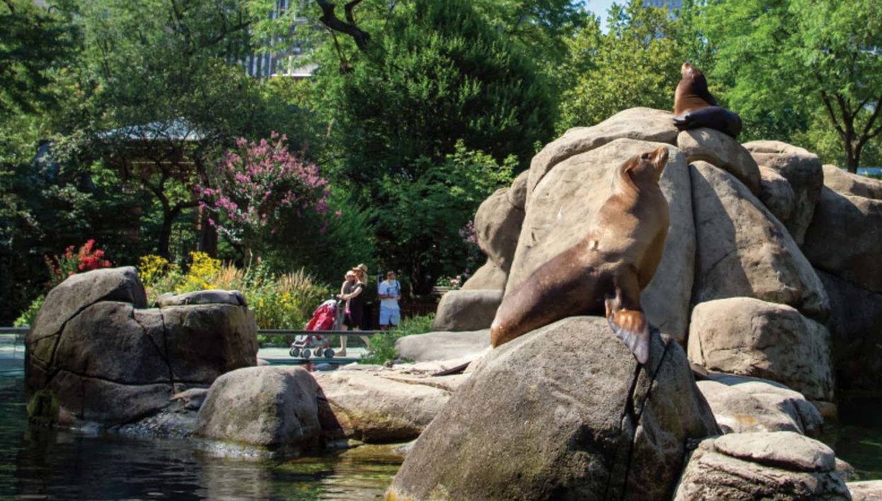 Central Park Zoo Tickets - Foto 1