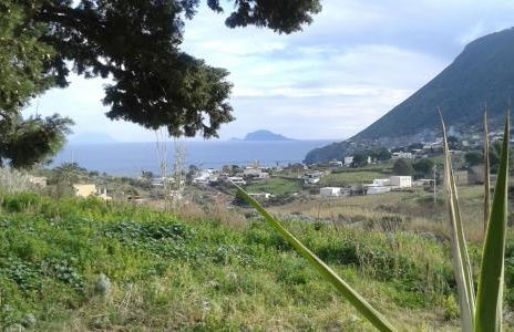 la casa di titti e jack - Foto 2