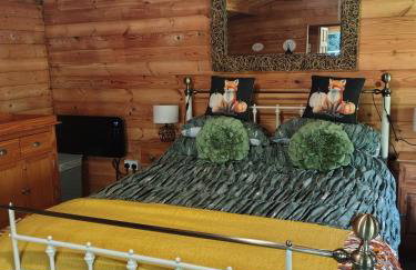 Forest Cabin Retreat - Sleeps 2 - Wifi & Garden - Foto 10