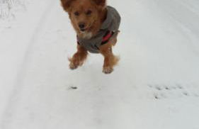 GrigioPerla - Foto 42