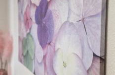 El Capricho de Ezcurdia - 6 pax - VUT-3878-AS - Foto 31