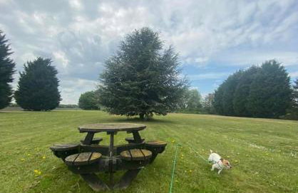 Lincoln Holiday Retreat Cottage with Private Hot Tub - Foto 78