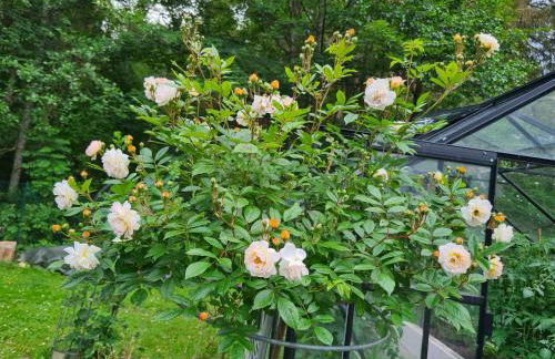 Eulennest,Parkplatz,Wäschepaket,Reinigung inklusive - Foto 41