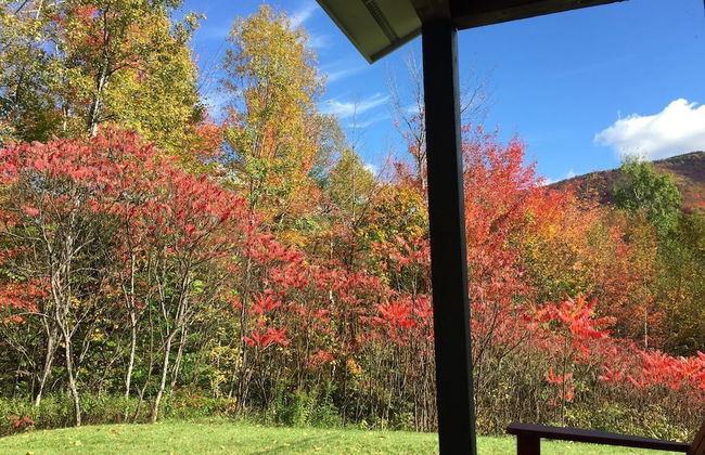 Secluded 6 Acre Property near Mountain Road - Foto 28