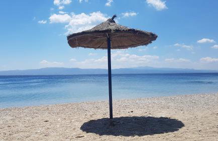 Sylvia's Village Home - Foto 35