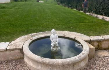 Collares Sintra Petit Palais - Foto 16