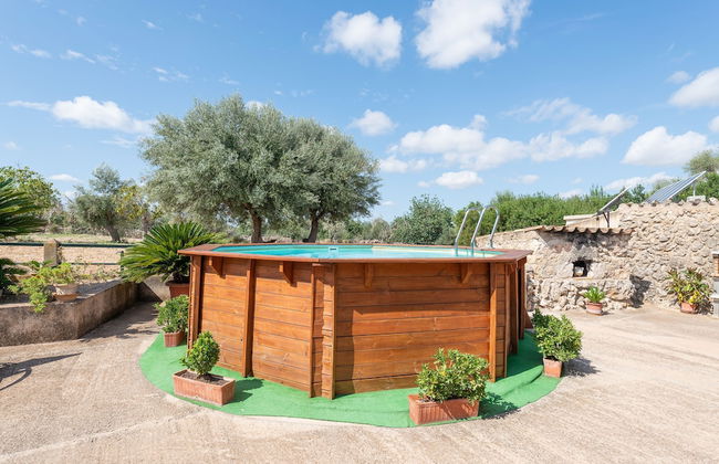 Son Rossinyol in Llub - Foto 26