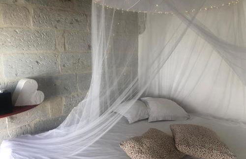 La Paloma - Photo 37