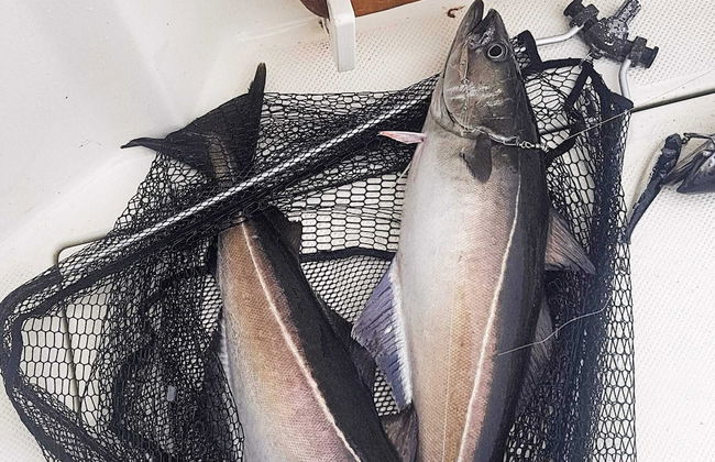 Tranquil Retreat in Moster-by Traum - Foto 11