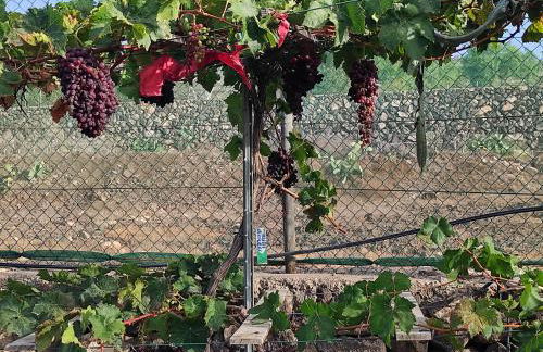 Home2Book Fantasy Villa & Nature, Private Pool - Foto 56