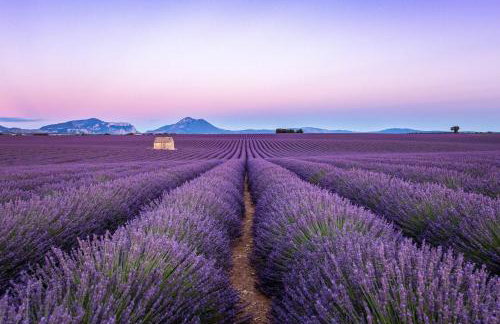 Maison chaleureuse en Provence - Photo 18