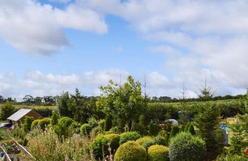 Hollyhocks - Uk47975 - Foto 27