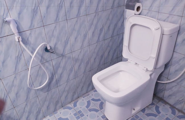 Sana Guest - Photo 15