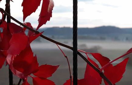Ferienwohnung "Auszeit" - Foto 33