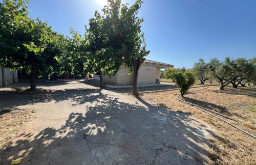 Casa olivar de Riudoms - Foto 20