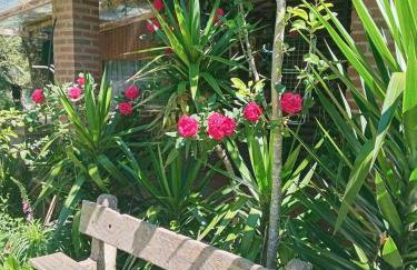 CHALÉ SIMPLES COM WI-FI SPLIT COZINHA COMPLETA SALA QUARTO BANHEIRO A 2 KM DO centro - Foto 10