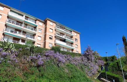 Carmen Seaview & Beach - Apartment - Photo 21