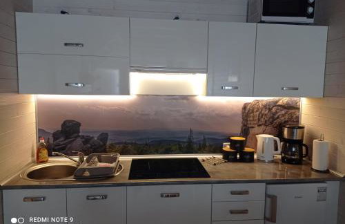 Całoroczny Ośrodek Wypoczynkowy COMFORT HOUSE - Foto 27