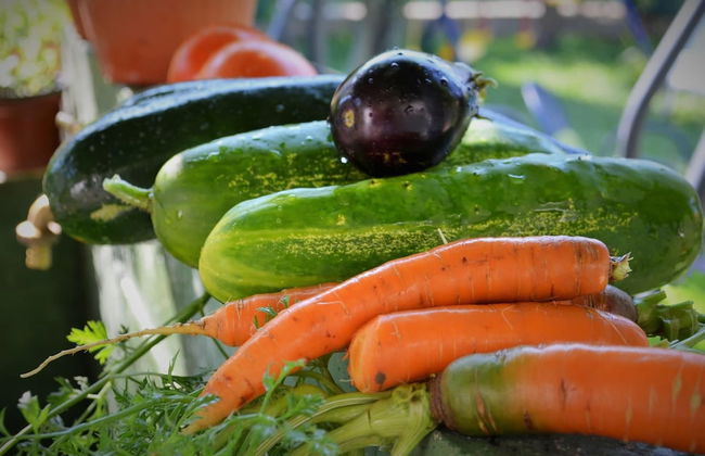 Countryside Getaway near River & Sea - Foto 13