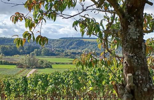 Ferienwohnung Gutermuth Obereisenheim - Foto 24