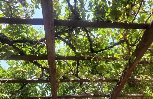 Typical house in a Sicilian village - Photo 12