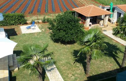 Apartments Marica - Foto 55