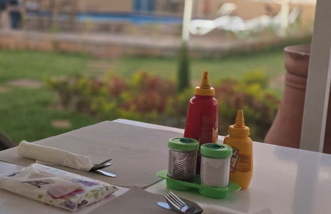 Sirius Palace Luxor - Photo 46