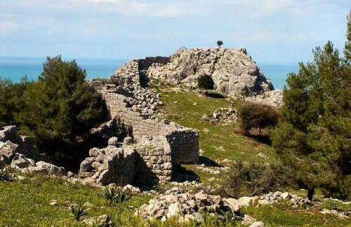 Villa Thea - Foto 24