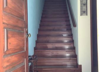 Casa das Camélias - Foto 47