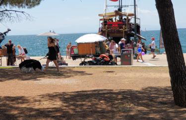 Konstantinos Apartmend Chalkidiki - Foto 36