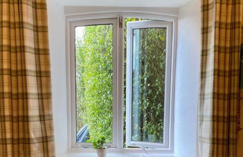 Braunton Breaks - 'The Snug' - Foto 3