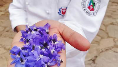 Agriturismo Il Riccio - Foto 5