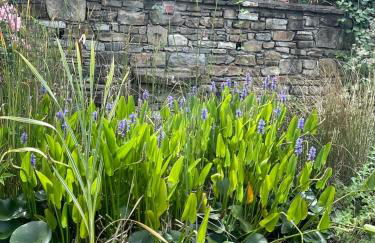 Agriturismo Poderi Zunino - Foto 73