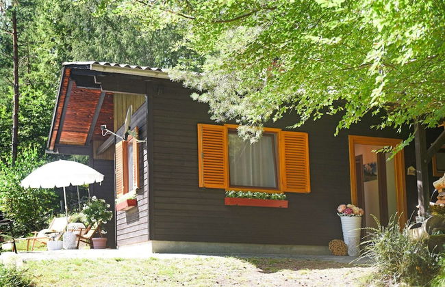 Cozy Chalet in Molln With Garden - Foto 26