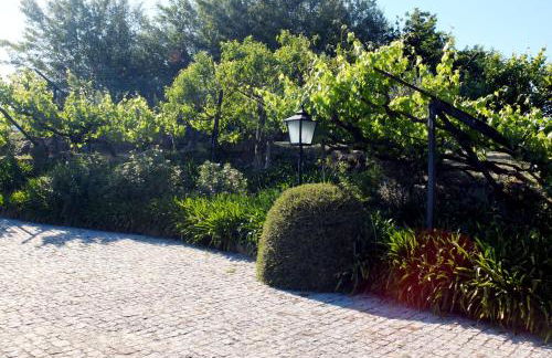 Family Secrets Douro - Foto 52