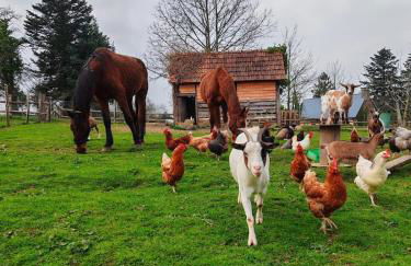 Le Ranch Normand - Foto 56