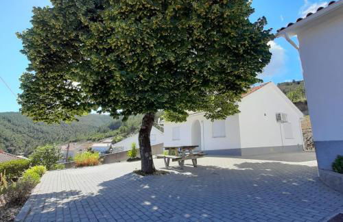 Casas da Escola - "Casa da Professora" - Meãs - Foto 10