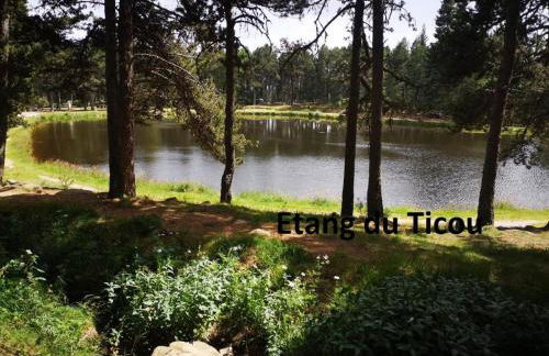 Apt confortable au pied des pistes et de la forêt - Foto 63