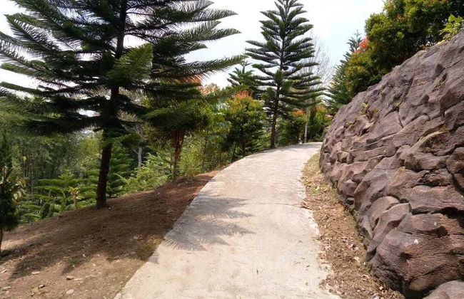 Aldeoz Dempo Pagar Alam Villa Sumsel - Foto 24