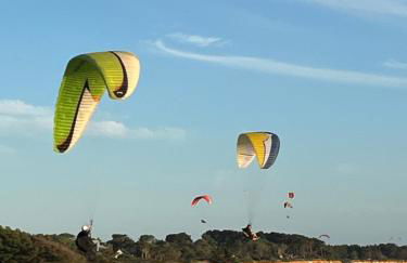 La Metairina - Foto 38