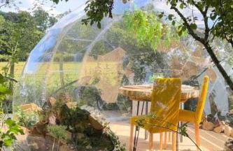 Natures Edge Cabin - Photo 64