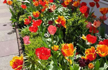 Ferienhaus Haus Herzog - Foto 49