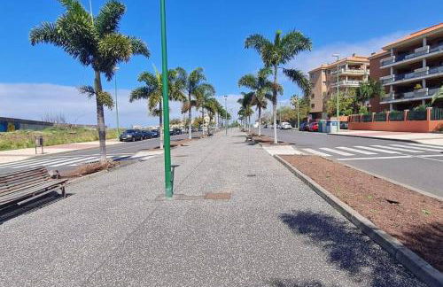 Jardín del Teide - Foto 27