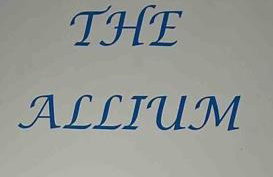 NEC/Airport - The Allium, Two bedroom apartment - Photo 3