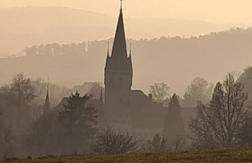 Przy pałacu - Foto 32