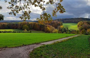 Odenwald-Lodge mit Infrarotsauna und E-Ladestation im Naturpark Odenwald "Haus Himmelblau" - Foto 15