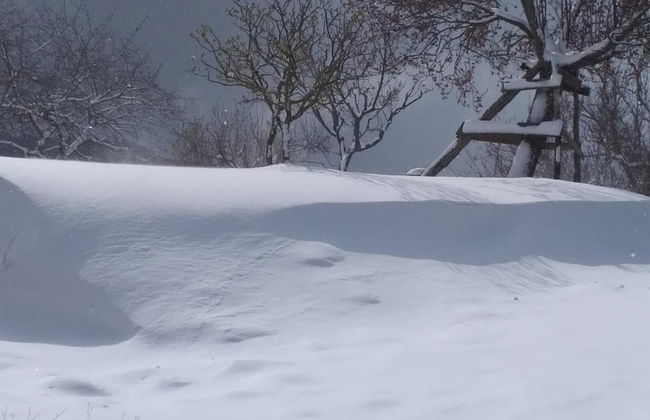 Agriturismo La Casina della Burraia - Photo 21