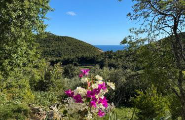 La scuola di Anna - Foto 29