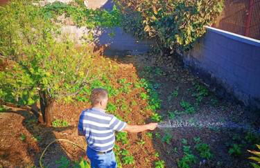 Apartamento Terracota Charco del Pino - Foto 16